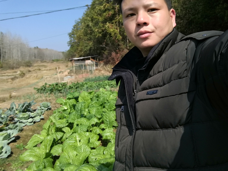 倔强的驴的第一张照片--福安交友网