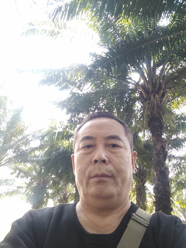 重振雄风的第二张照片--福安交友网