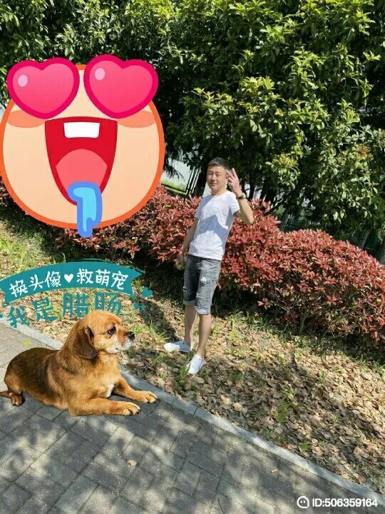 我若不坚强谁替我勇敢的第一张照片--福安交友网
