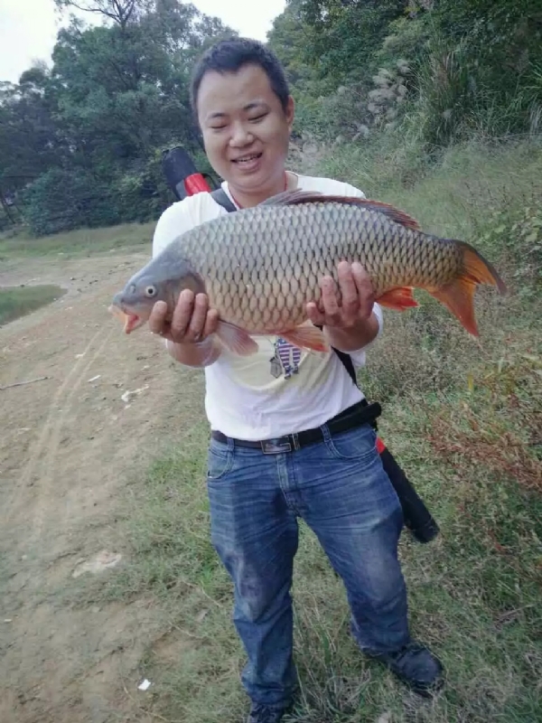 迷路的男人的第一张照片--福安交友网